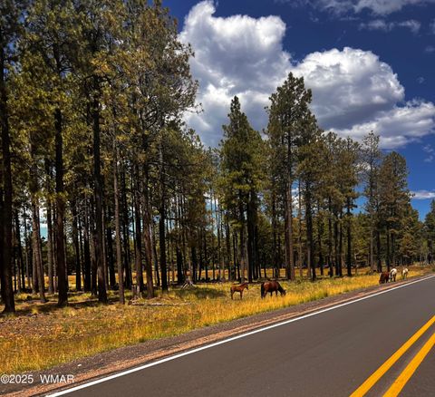 Tiny photo for 3361 W Hansen, Show Low, AZ 85901 (MLS # 259615)