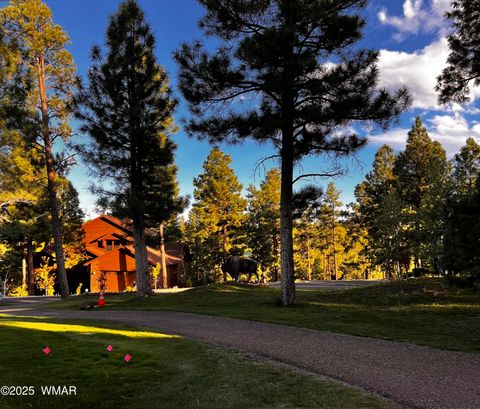 Tiny photo for 3361 W Hansen, Show Low, AZ 85901 (MLS # 259615)