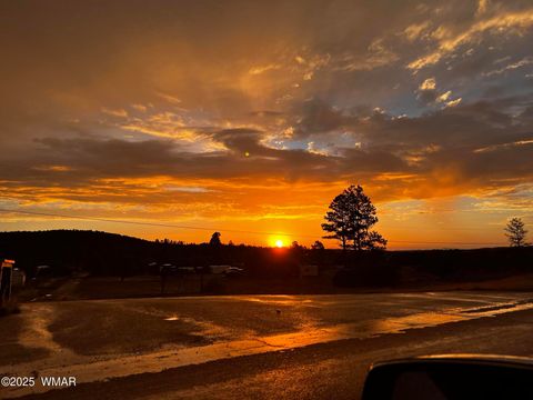 Tiny photo for 3361 W Hansen, Show Low, AZ 85901 (MLS # 259615)