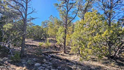 Tiny photo for 76 N3130, Vernon, AZ 85940 (MLS # 259434)