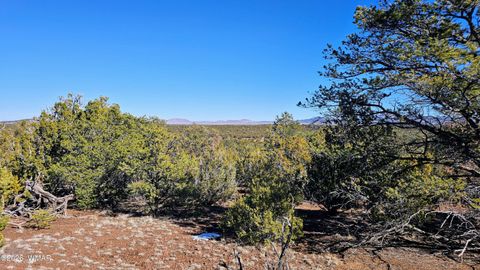 Tiny photo for 76 N3130, Vernon, AZ 85940 (MLS # 259434)