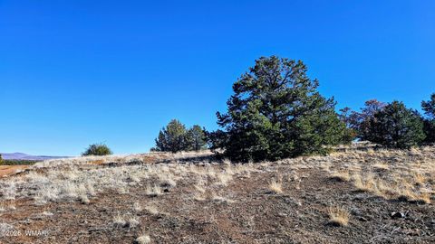 Tiny photo for 76 N3130, Vernon, AZ 85940 (MLS # 259434)