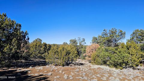 Tiny photo for 76 N3130, Vernon, AZ 85940 (MLS # 259434)