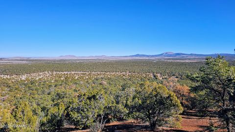 Tiny photo for 76 N3130, Vernon, AZ 85940 (MLS # 259434)