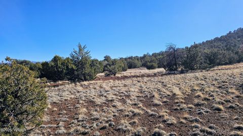 Tiny photo for 76 N3130, Vernon, AZ 85940 (MLS # 259434)