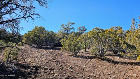 Tiny photo for 76 N3130, Vernon, AZ 85940 (MLS # 259434)