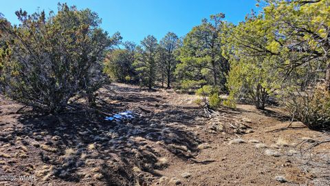 Tiny photo for 76 N3130, Vernon, AZ 85940 (MLS # 259434)