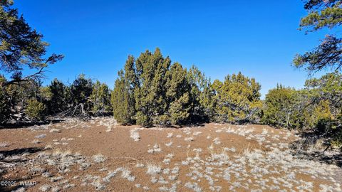 Tiny photo for 76 N3130, Vernon, AZ 85940 (MLS # 259434)