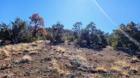 Tiny photo for 76 N3130, Vernon, AZ 85940 (MLS # 259434)