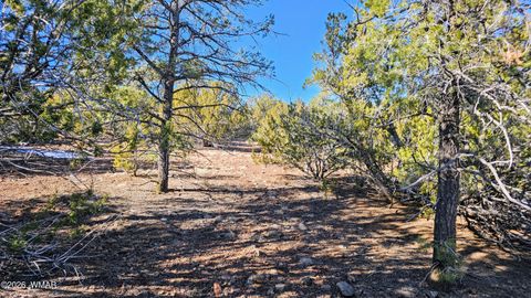 Tiny photo for 76 N3130, Vernon, AZ 85940 (MLS # 259434)