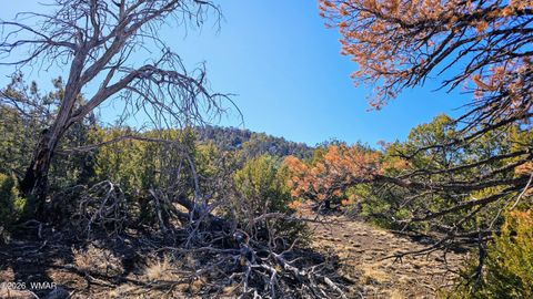 Tiny photo for 76 N3130, Vernon, AZ 85940 (MLS # 259434)