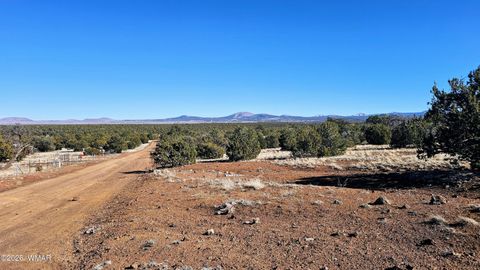 Tiny photo for 76 N3130, Vernon, AZ 85940 (MLS # 259434)