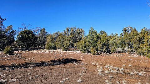 Tiny photo for 76 N3130, Vernon, AZ 85940 (MLS # 259434)