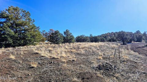 Tiny photo for 76 N3130, Vernon, AZ 85940 (MLS # 259434)