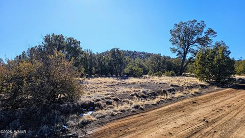 Tiny photo for 76 N3130, Vernon, AZ 85940 (MLS # 259434)