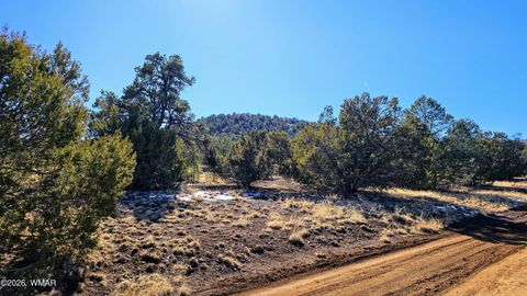 Tiny photo for 76 N3130, Vernon, AZ 85940 (MLS # 259434)
