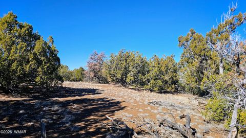 Tiny photo for 76 N3130, Vernon, AZ 85940 (MLS # 259434)
