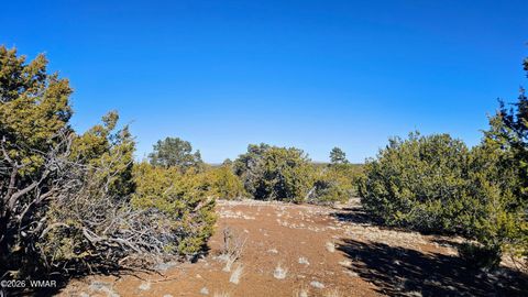 Tiny photo for 76 N3130, Vernon, AZ 85940 (MLS # 259434)