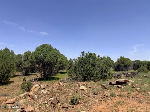 Tiny photo for 8831 Supancheck Road, Show Low, AZ 85901 (MLS # 262991)