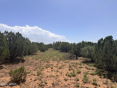Tiny photo for 8831 Supancheck Road, Show Low, AZ 85901 (MLS # 262991)
