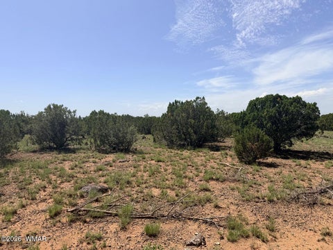 Tiny photo for 8831 Supancheck Road, Show Low, AZ 85901 (MLS # 262991)