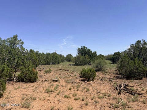Tiny photo for 8831 Supancheck Road, Show Low, AZ 85901 (MLS # 262991)