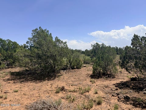 Tiny photo for 8831 Supancheck Road, Show Low, AZ 85901 (MLS # 262991)