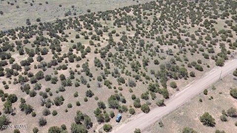 Tiny photo for 8831 Supancheck Road, Show Low, AZ 85901 (MLS # 262991)