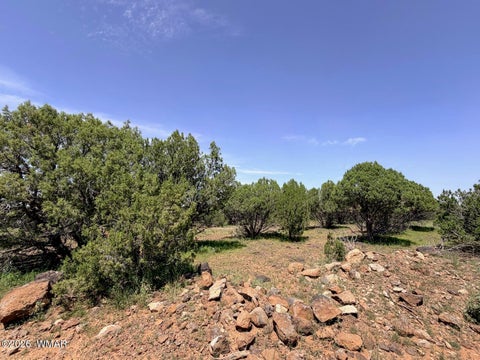 Tiny photo for 8831 Supancheck Road, Show Low, AZ 85901 (MLS # 262991)