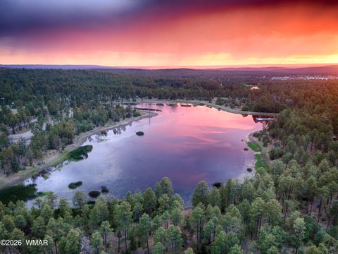 Tiny photo for 345 W Yavapai Lane, Lakeside, AZ 85929 (MLS # 259109)