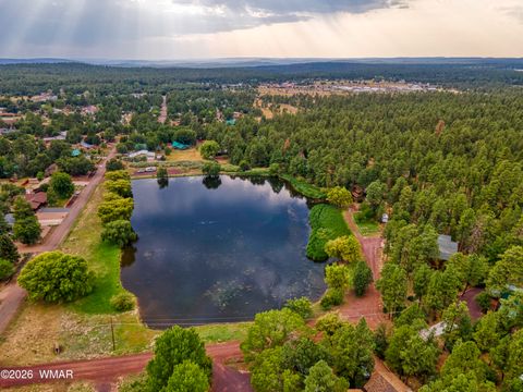 Photo of 345 W Yavapai Lane, Lakeside, AZ 85929 (MLS # 259109)