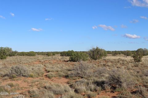 Photo of Sec 3 T14N,R17E:Se4, Heber, AZ 85928 (MLS # 259055)