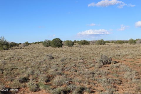 Tiny photo for Sec 3 T14N,R17E:Se4, Heber, AZ 85928 (MLS # 259055)