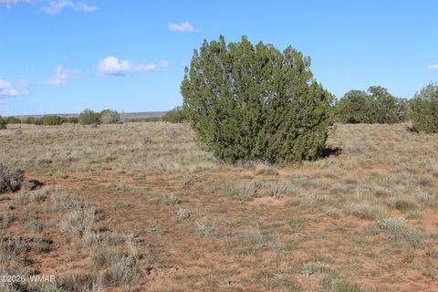 Tiny photo for Sec 3 T14N,R17E:Se4, Heber, AZ 85928 (MLS # 259055)