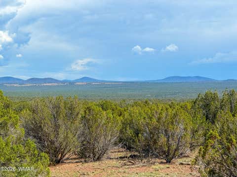 Photo of 0 GAMPLE LN. 13 ACRES (LOT A), Show Low, AZ 85901 (MLS # 262457)