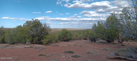 Tiny photo for 139 Dragon Drive, Show Low, AZ 85901 (MLS # 260616)