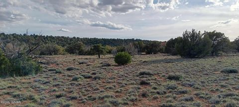 Tiny photo for 139 Dragon Drive, Show Low, AZ 85901 (MLS # 260616)