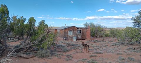 Photo of 139 Dragon Drive, Show Low, AZ 85901 (MLS # 260616)