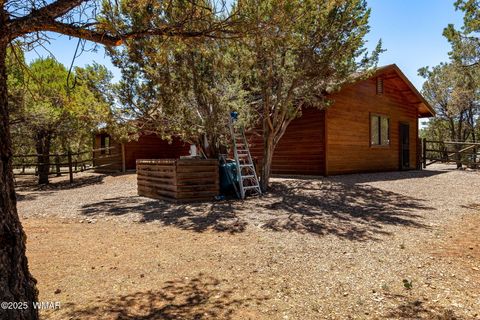 Tiny photo for 2796 Chandelle Lane, Overgaard, AZ 85933 (MLS # 256529)