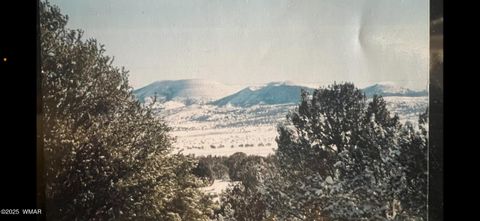 Tiny photo for 14 N3111, Vernon, AZ 85940 (MLS # 258961)