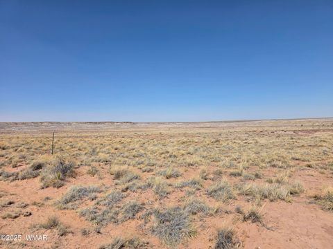 Tiny photo for 9483 Eagle Drive, Holbrook, AZ 86025 (MLS # 257392)