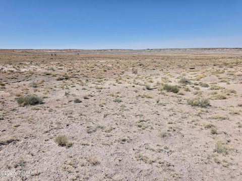 Tiny photo for 9483 Eagle Drive, Holbrook, AZ 86025 (MLS # 257392)