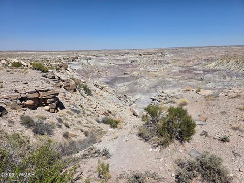 Tiny photo for 9483 Eagle Drive, Holbrook, AZ 86025 (MLS # 257392)