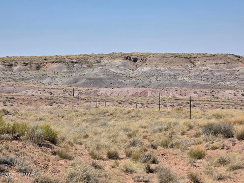 Tiny photo for 9483 Eagle Drive, Holbrook, AZ 86025 (MLS # 257392)