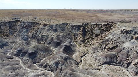 Tiny photo for 9483 Eagle Drive, Holbrook, AZ 86025 (MLS # 257392)