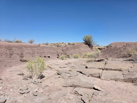 Tiny photo for 9483 Eagle Drive, Holbrook, AZ 86025 (MLS # 257392)