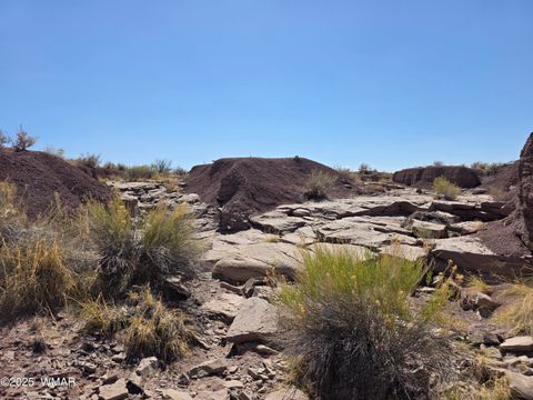 Tiny photo for 9483 Eagle Drive, Holbrook, AZ 86025 (MLS # 257392)