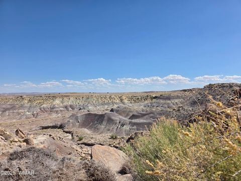 Tiny photo for 9483 Eagle Drive, Holbrook, AZ 86025 (MLS # 257392)