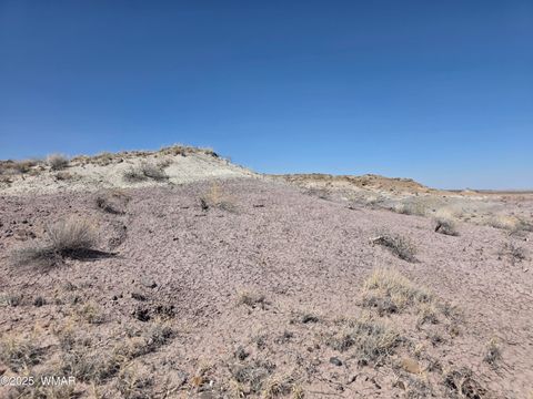 Tiny photo for 9483 Eagle Drive, Holbrook, AZ 86025 (MLS # 257392)