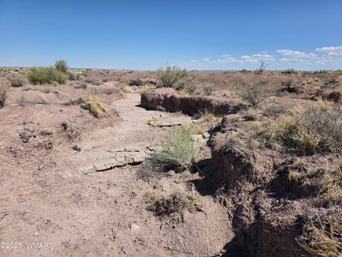 Tiny photo for 9483 Eagle Drive, Holbrook, AZ 86025 (MLS # 257392)